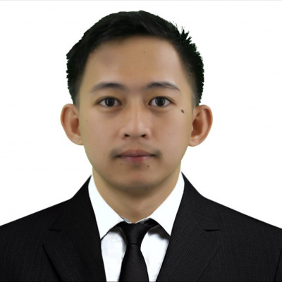 DEN MIKE S.