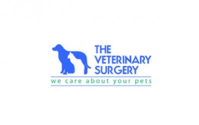 The Veterinary Surgery