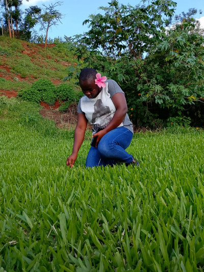 Monicah Andisi Ambitsi ambitsi